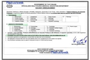 jobs in punjab